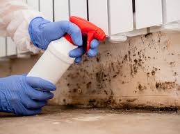 Best Airborne Mold Testing  in Blanchester, OH